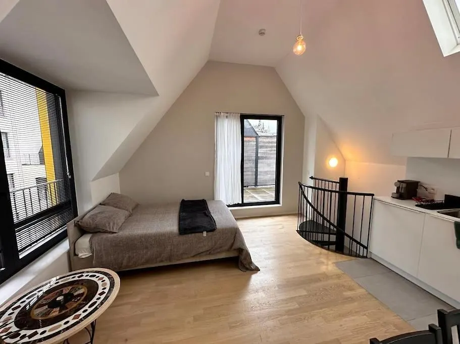 Central Flat Brussels Apartment Belgium